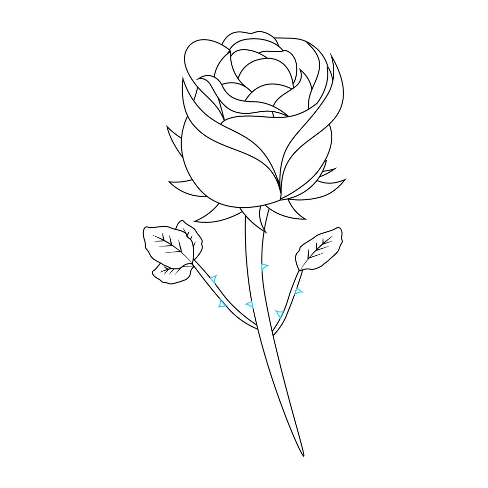 How to Draw A Rose Step by Step Step  8