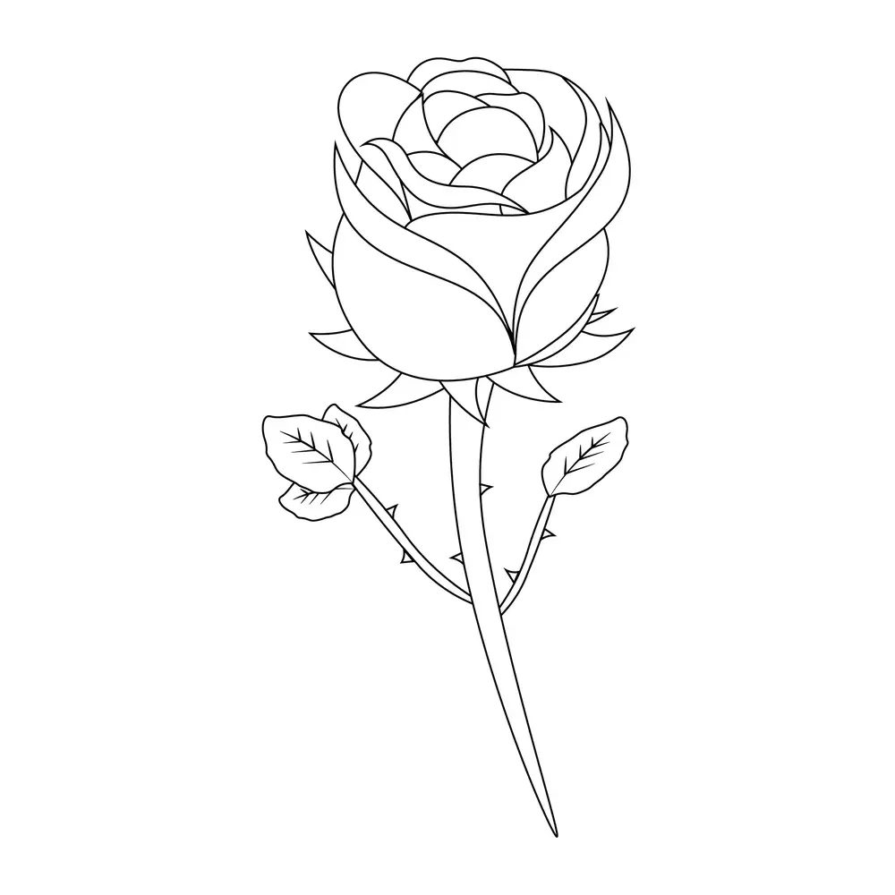 How to Draw A Rose Step by Step Step  9