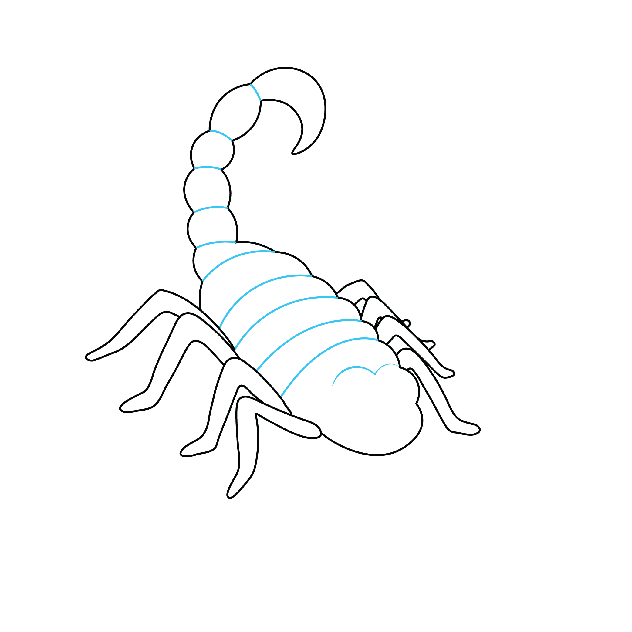 How to Draw A Scorpion Step by Step Step  5