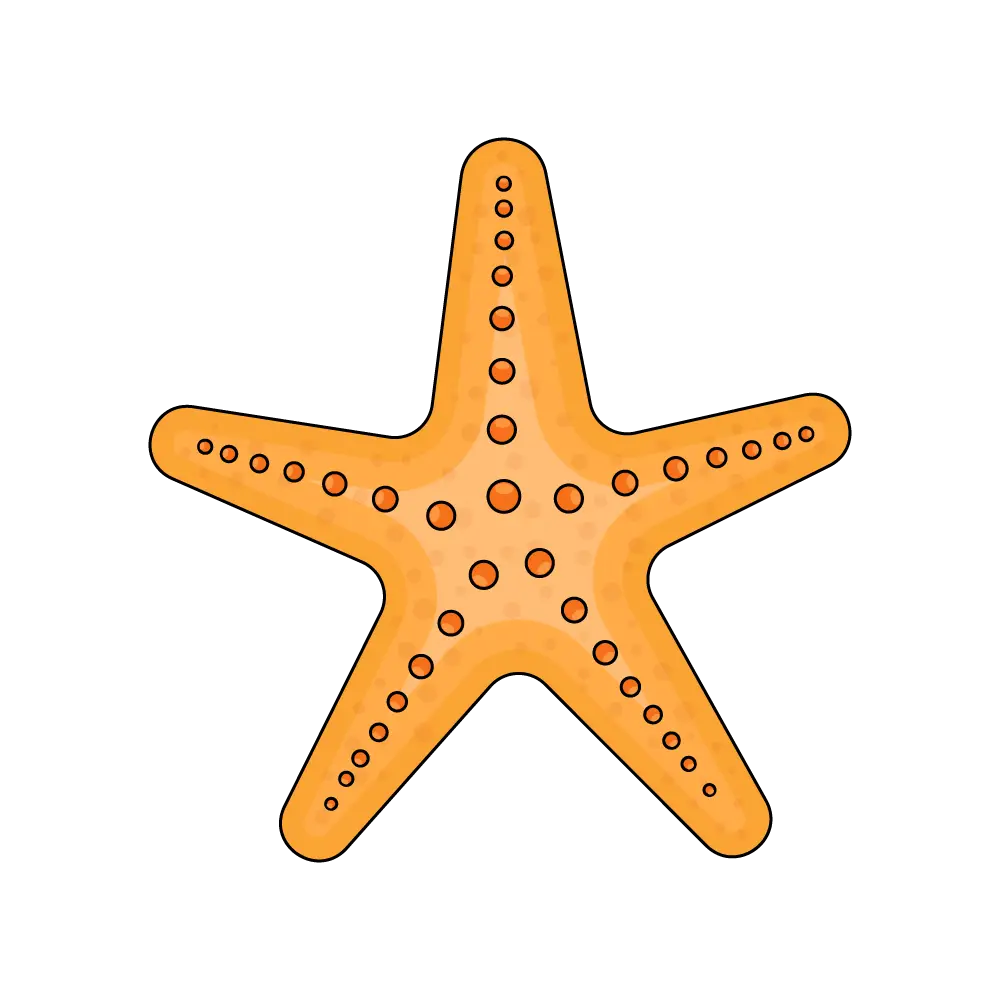 How to Draw A Sea Star Step by Step Thumbnail