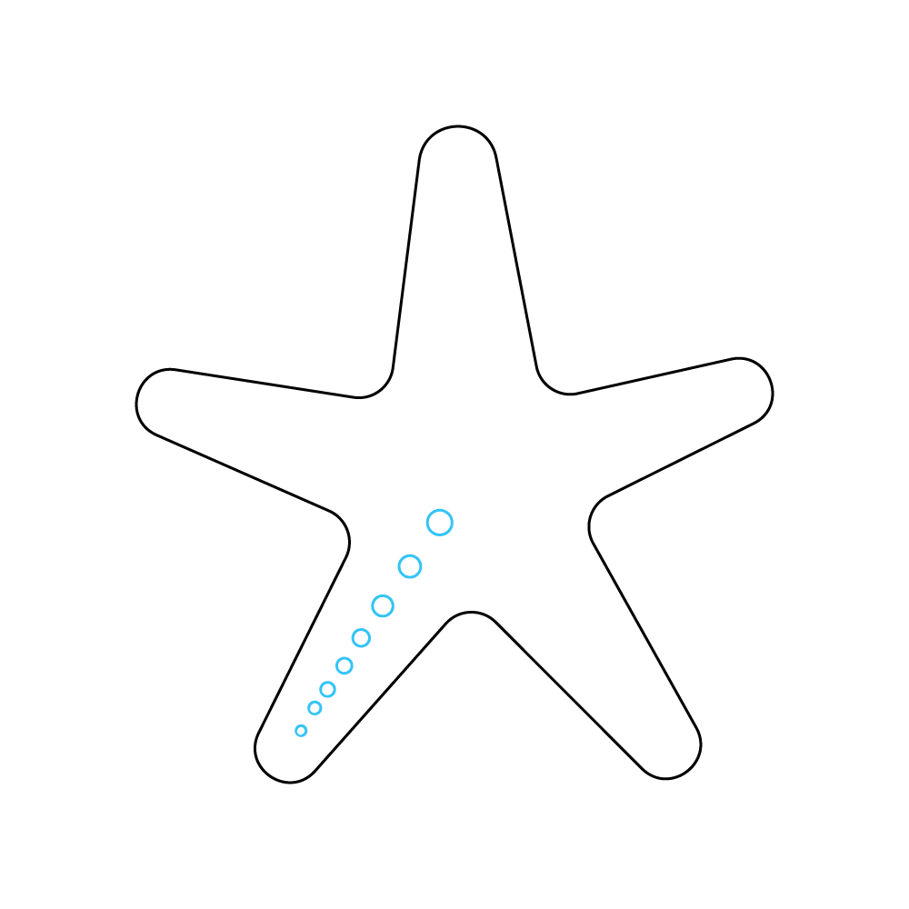 How to Draw A Sea Star Step by Step Step  5