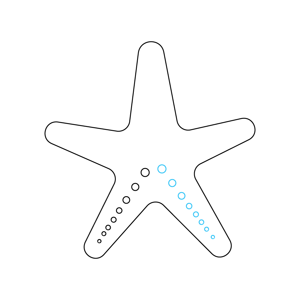 How to Draw A Sea Star Step by Step Step  6