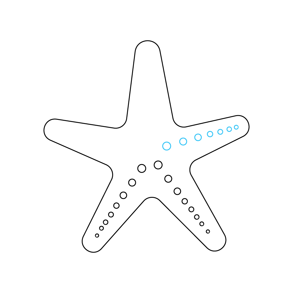 How to Draw A Sea Star Step by Step Step  7