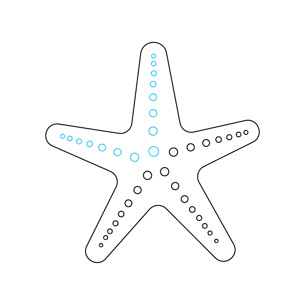 How to Draw A Sea Star Step by Step Step  8