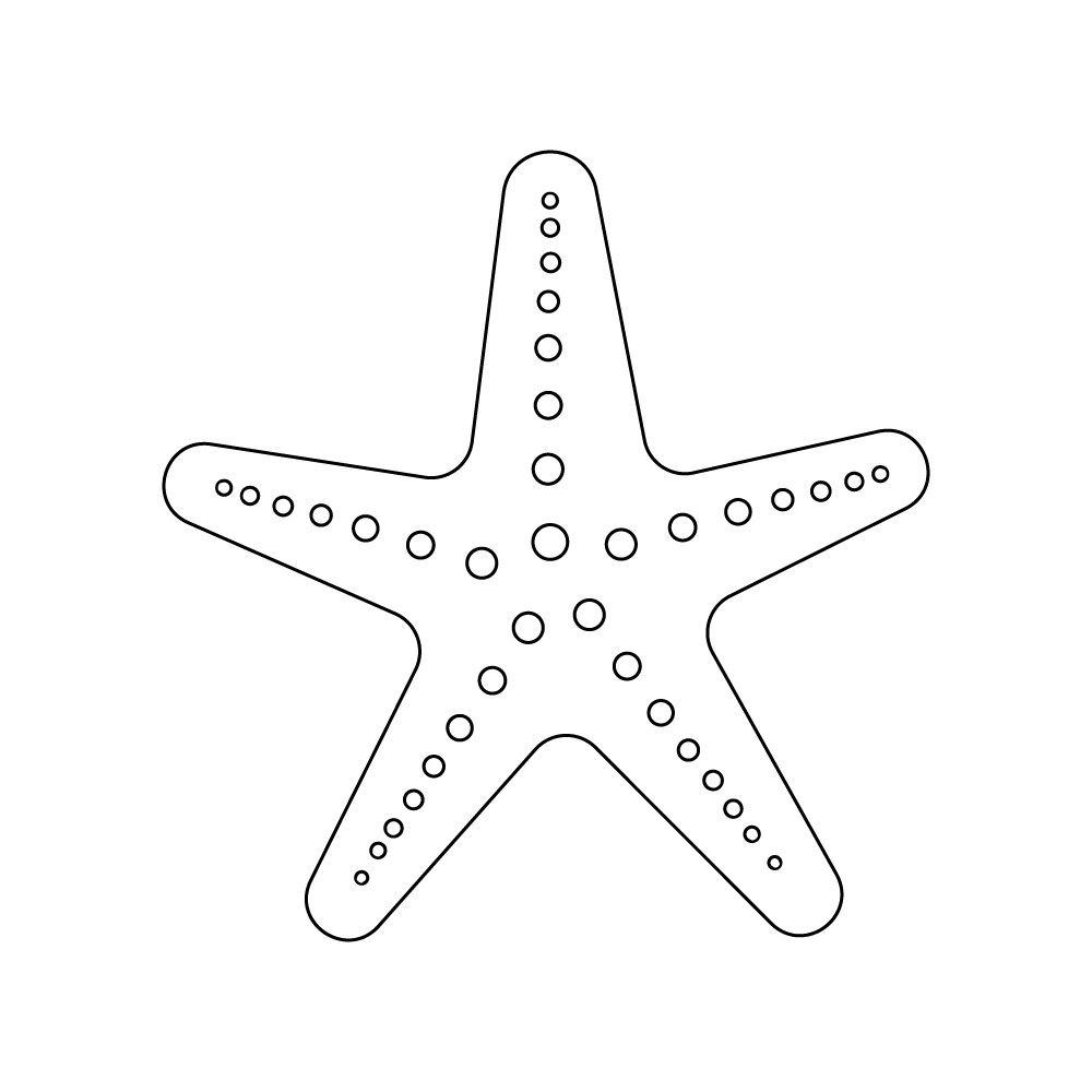How to Draw A Sea Star Step by Step Step  9