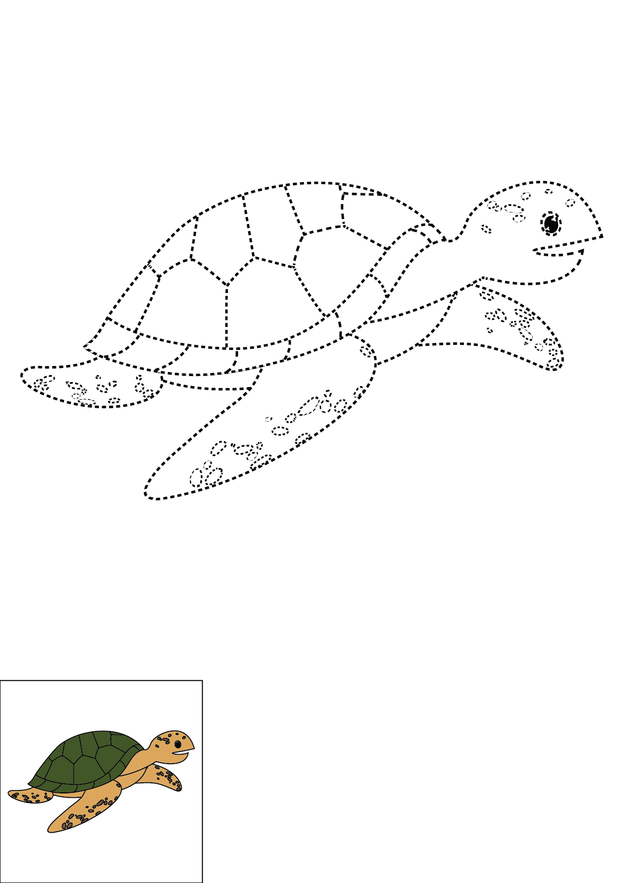 How to Draw A Sea Turtle Step by Step Printable Dotted
