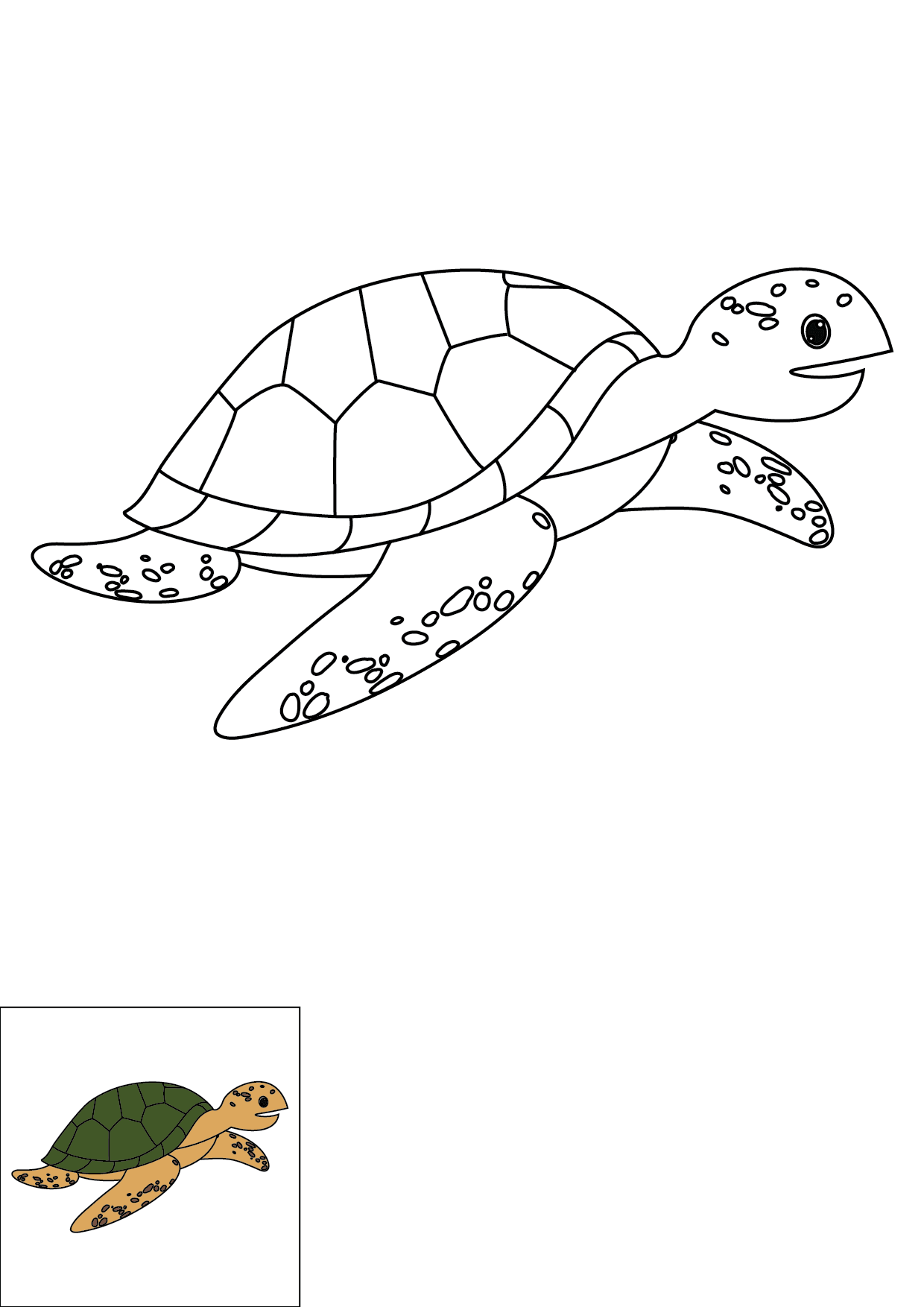 How to Draw A Sea Turtle Step by Step Printable Color