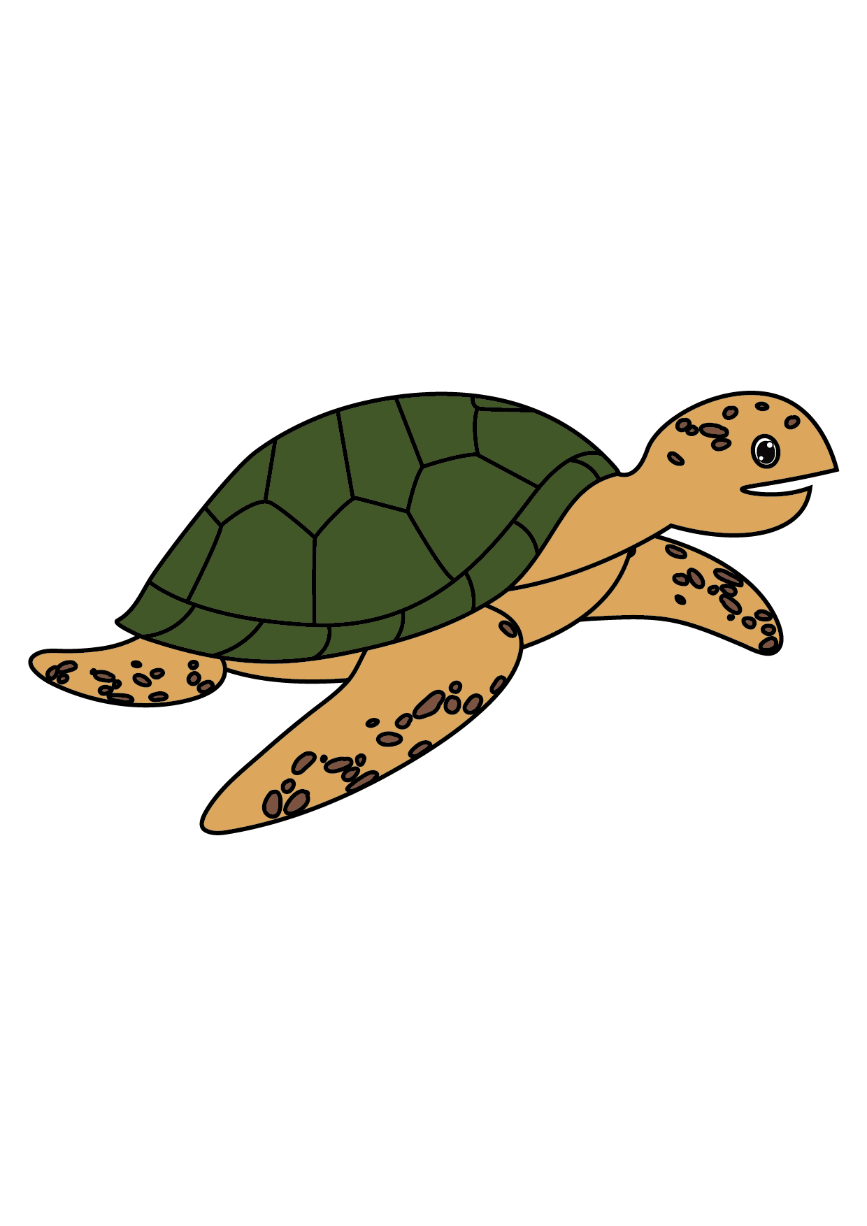How to Draw A Sea Turtle Step by Step Printable