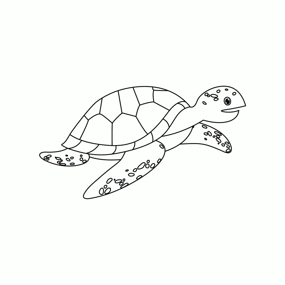 How to Draw A Sea Turtle Step by Step Step  8