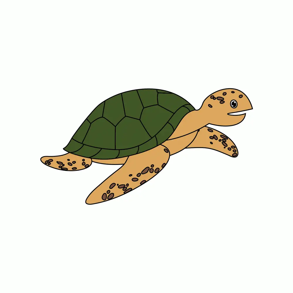 How to Draw A Sea Turtle Step by Step Step  9