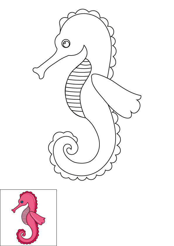 How to Draw A Seahorse Step by Step Printable Color