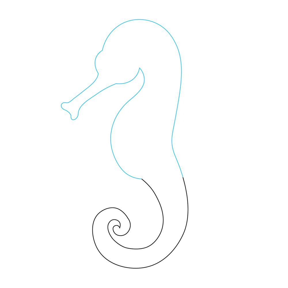 How to Draw A Seahorse Step by Step Step  3