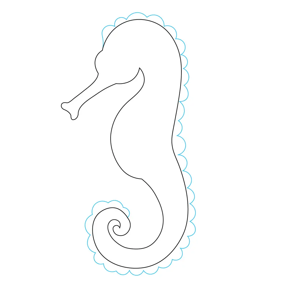 How to Draw A Seahorse Step by Step Step  4