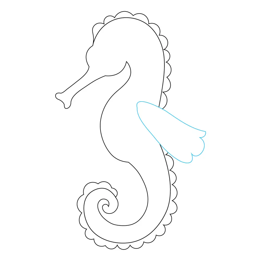How to Draw A Seahorse Step by Step Step  5