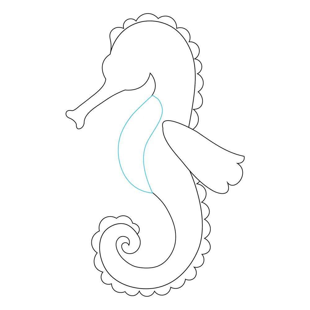 How to Draw A Seahorse Step by Step Step  6