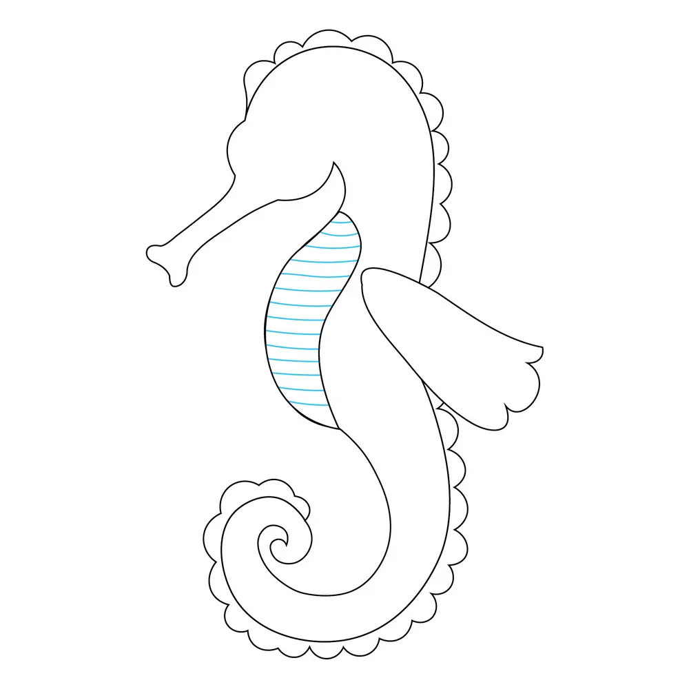 How to Draw A Seahorse Step by Step Step  7