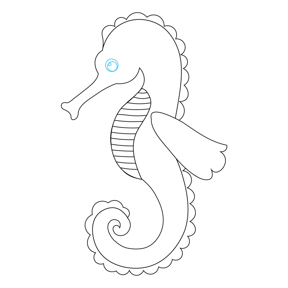 How to Draw A Seahorse Step by Step Step  8
