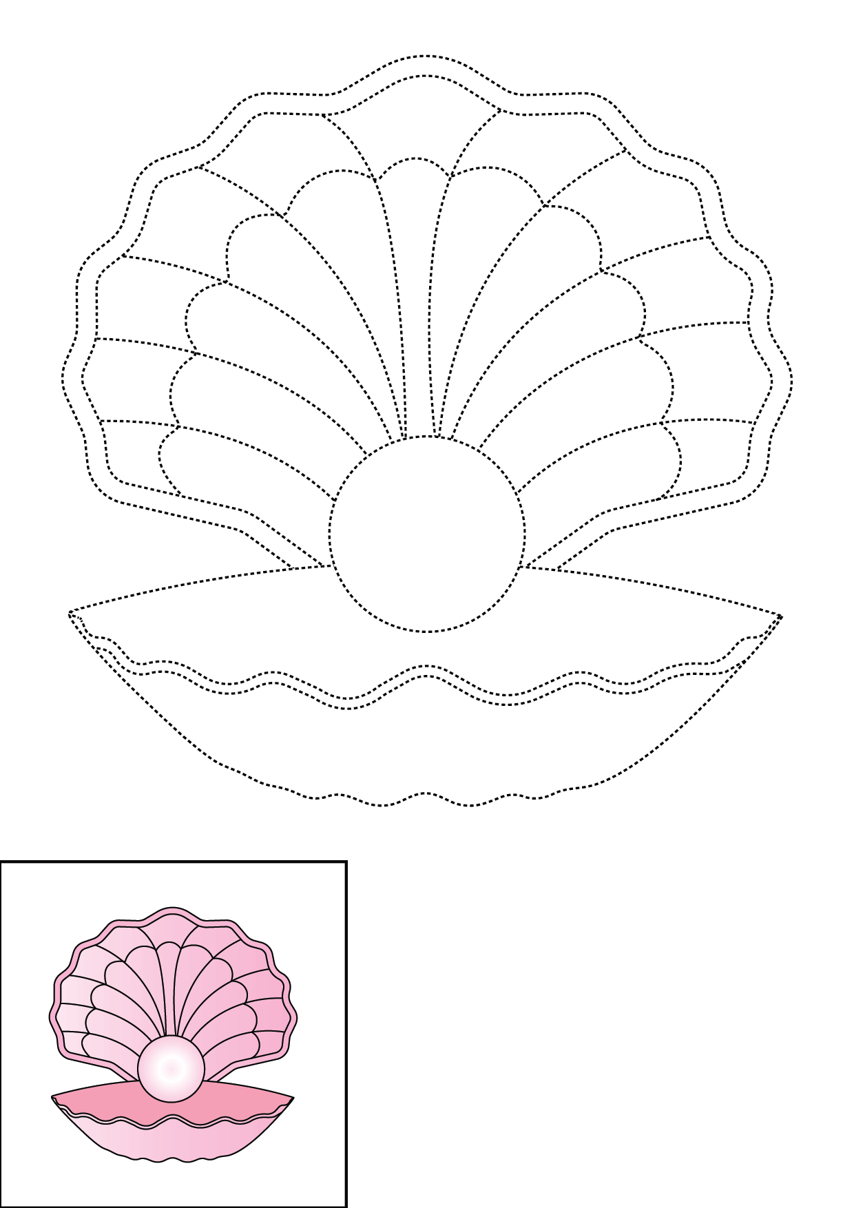 How to Draw A Seashell Step by Step Printable Dotted