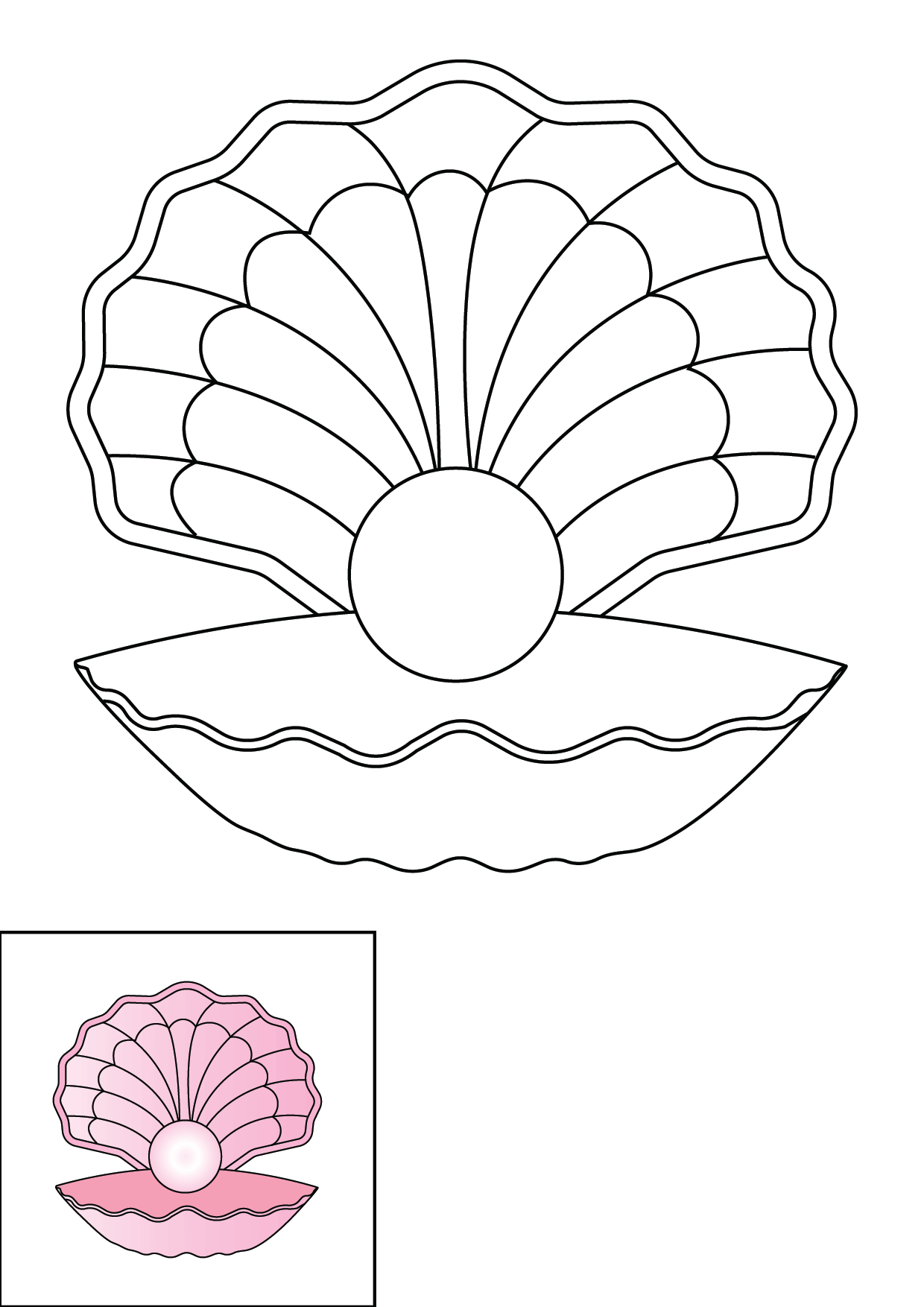 How to Draw A Seashell Step by Step Printable Color