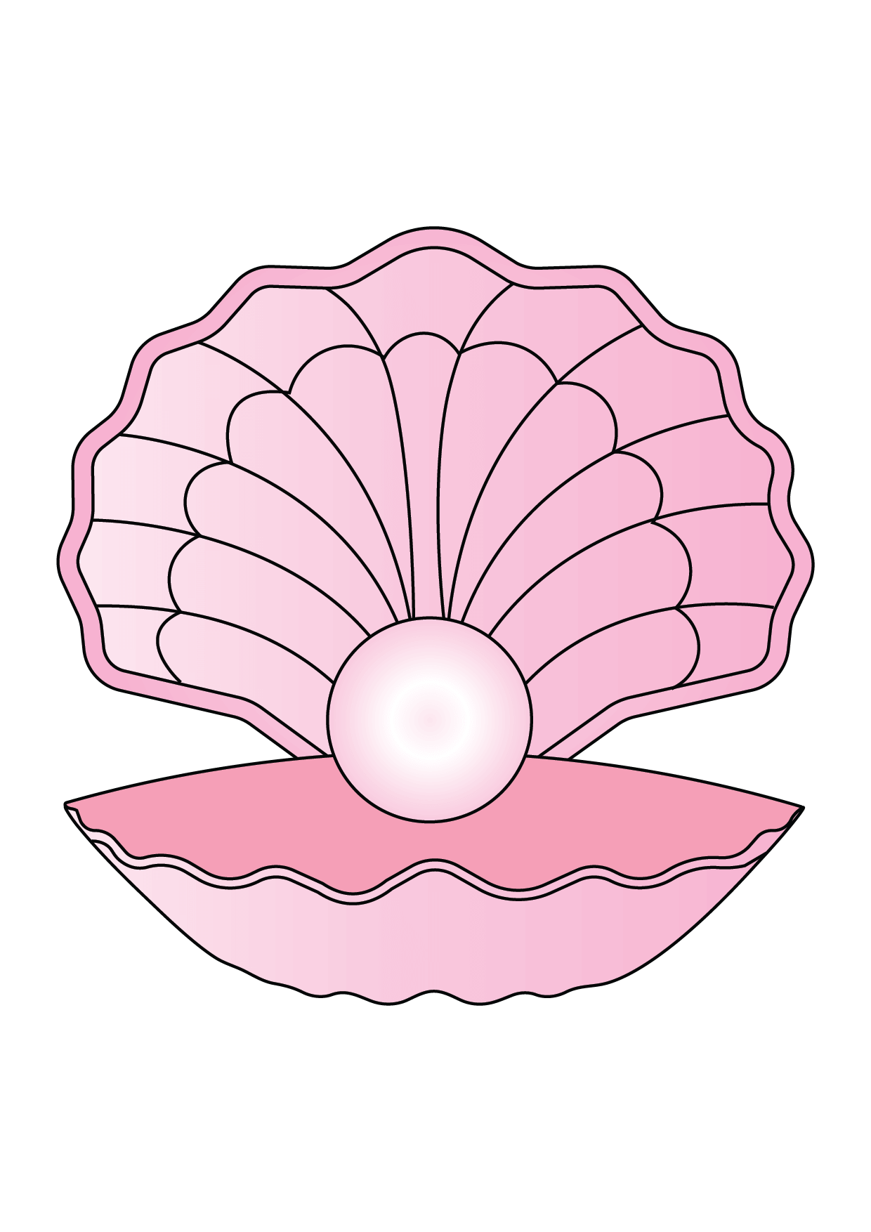 How to Draw A Seashell Step by Step Printable