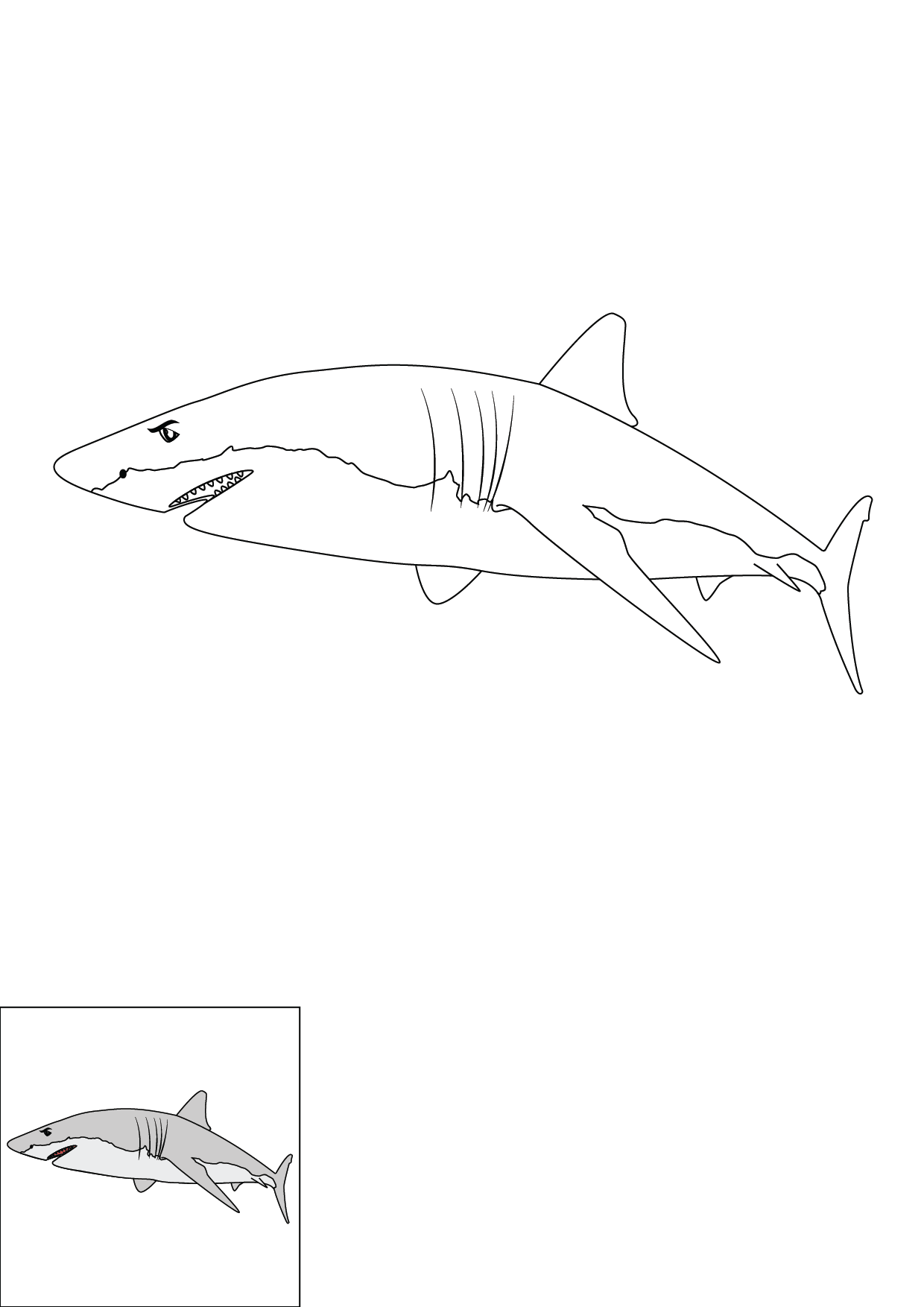 How to Draw A Shark Step by Step Printable Color