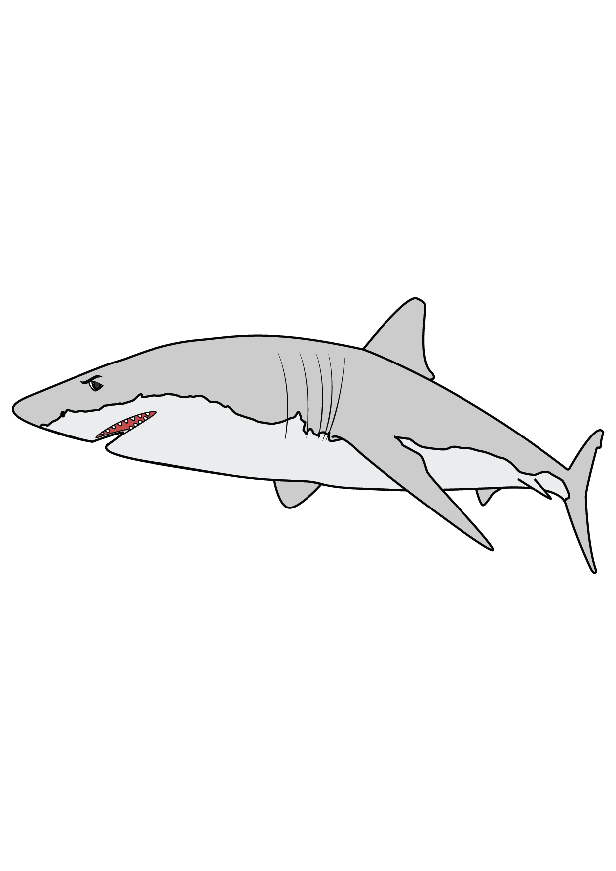 How to Draw A Shark Step by Step Printable