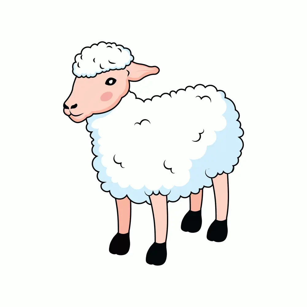 How to Draw A Sheep Step by Step Step  10