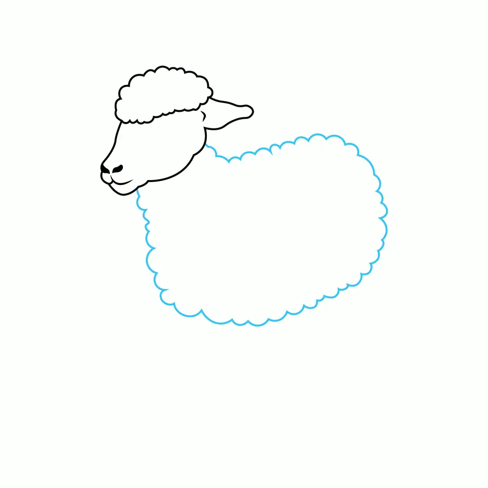 How to Draw A Sheep Step by Step Step  4