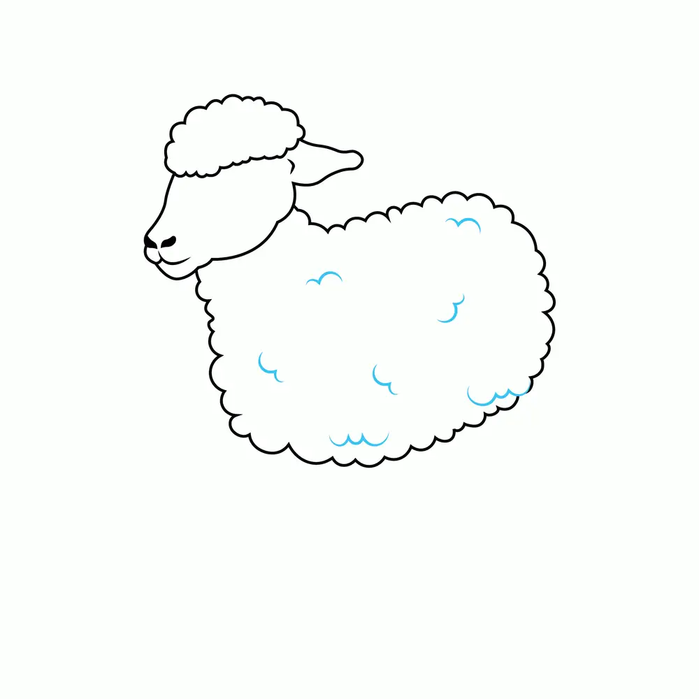 How to Draw A Sheep Step by Step Step  5