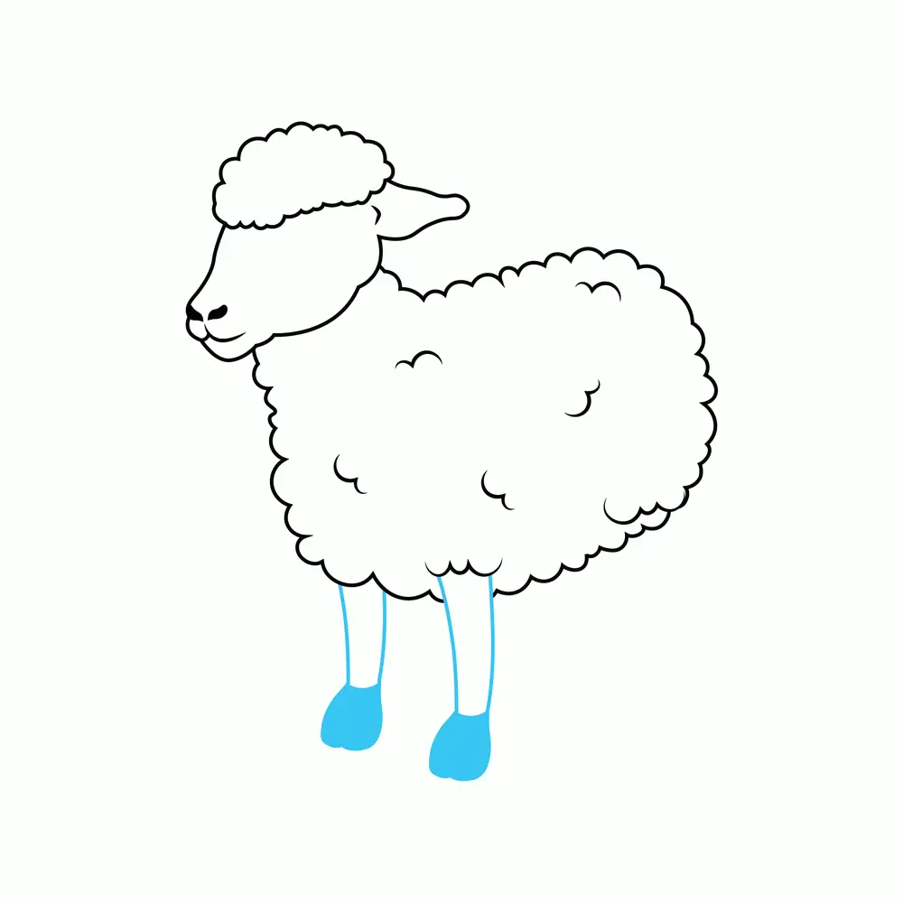 How to Draw A Sheep Step by Step Step  6