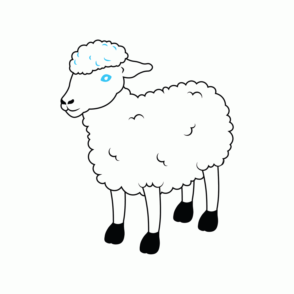 How to Draw A Sheep Step by Step Step  8