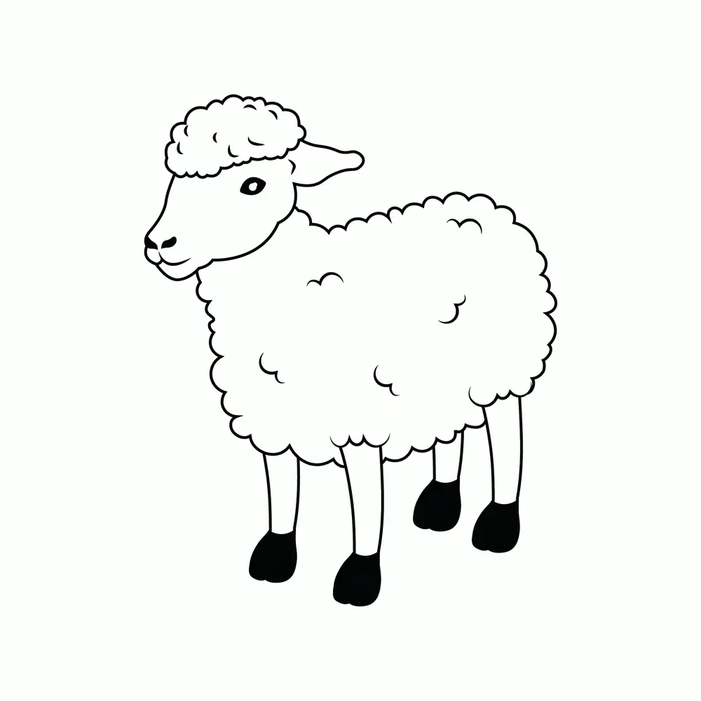 How to Draw A Sheep Step by Step Step  9