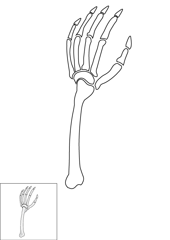 How to Draw A Skeleton Hand Step by Step Printable Color