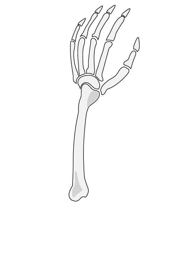 How to Draw A Skeleton Hand Step by Step Printable