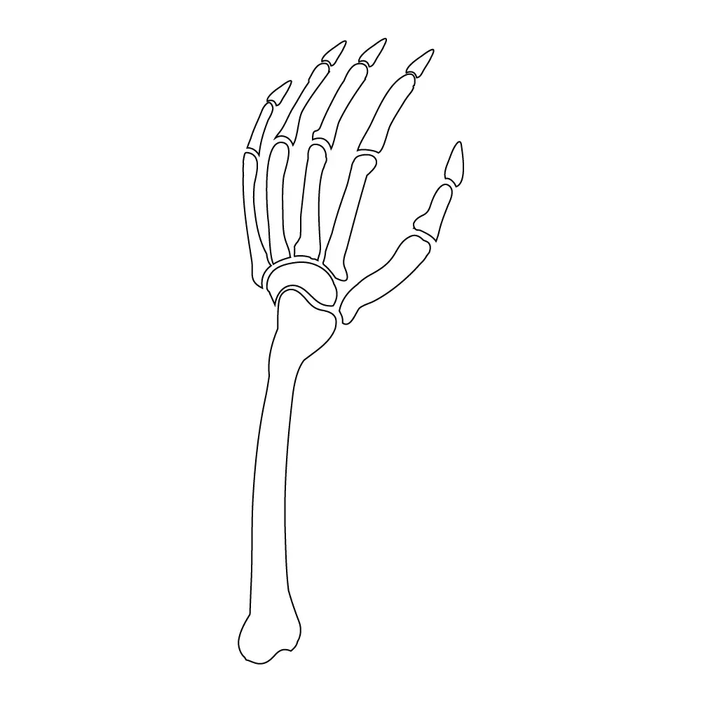 How to Draw A Skeleton Hand Step by Step Step  10