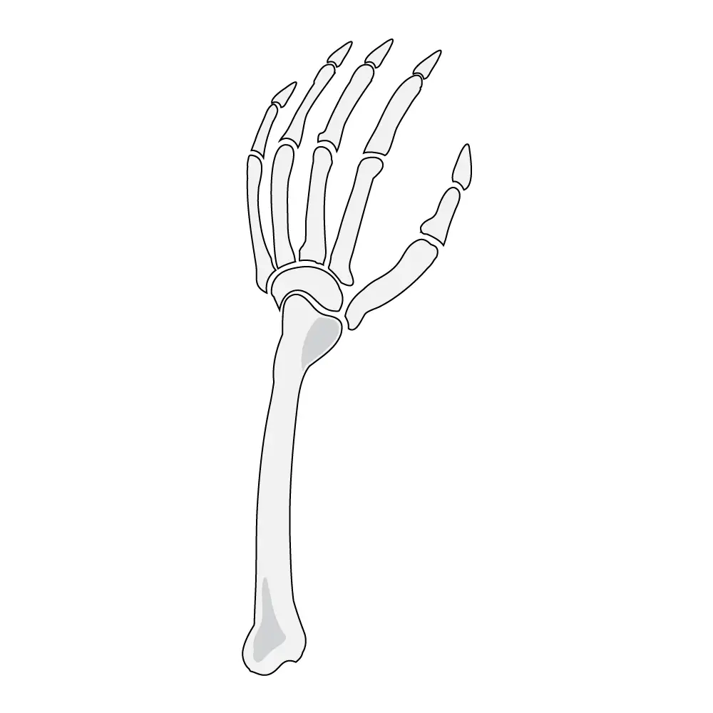 How to Draw A Skeleton Hand Step by Step Step  11