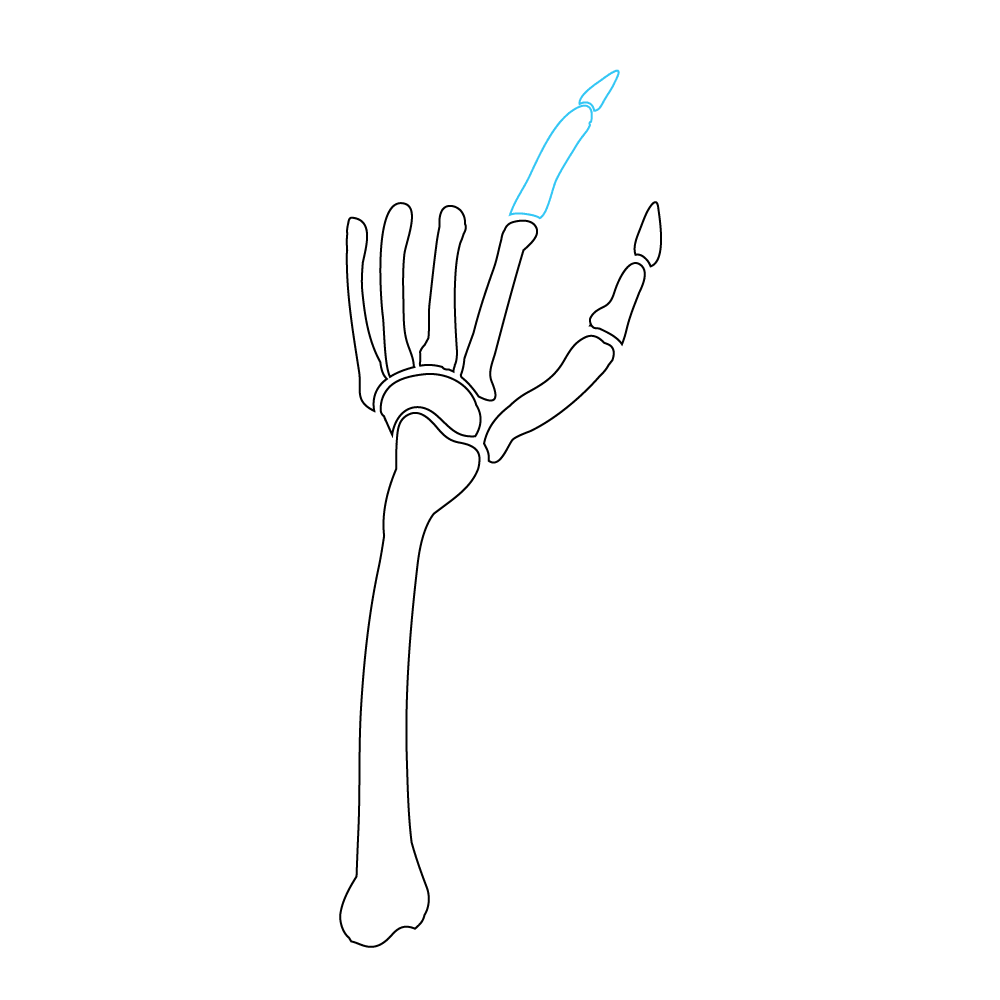 How to Draw A Skeleton Hand Step by Step Step  7