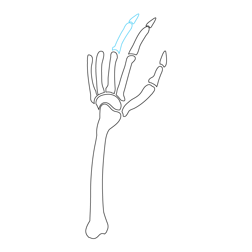 How to Draw A Skeleton Hand Step by Step Step  8