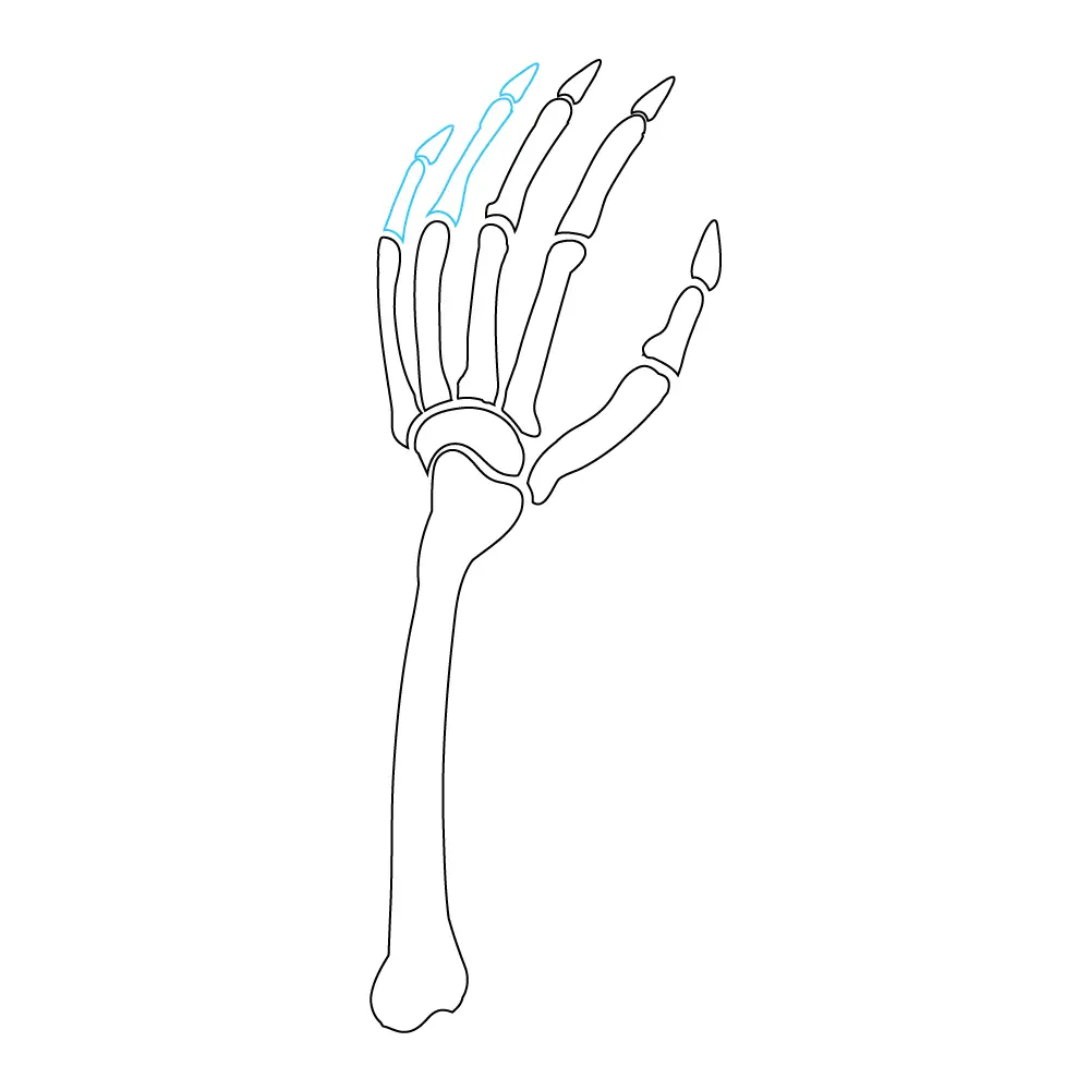 How to Draw A Skeleton Hand Step by Step Step  9