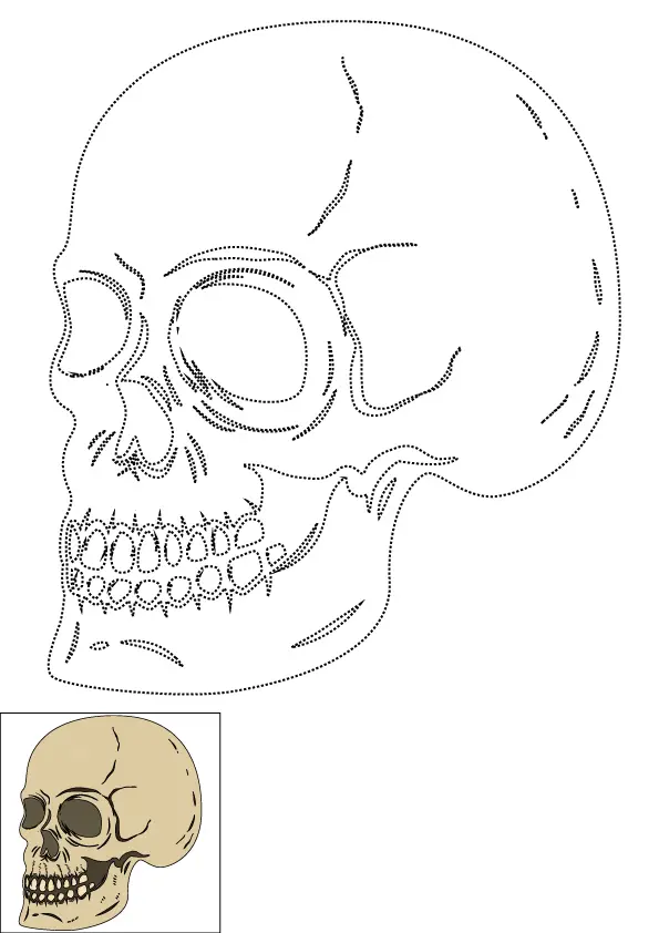 How to Draw A Skeleton Head Step by Step Printable Dotted