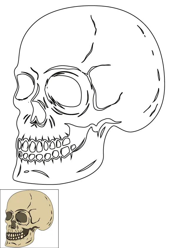 How to Draw A Skeleton Head Step by Step Printable Color