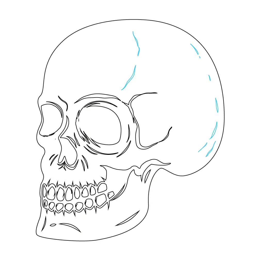 How to Draw A Skeleton Head Step by Step Step  10