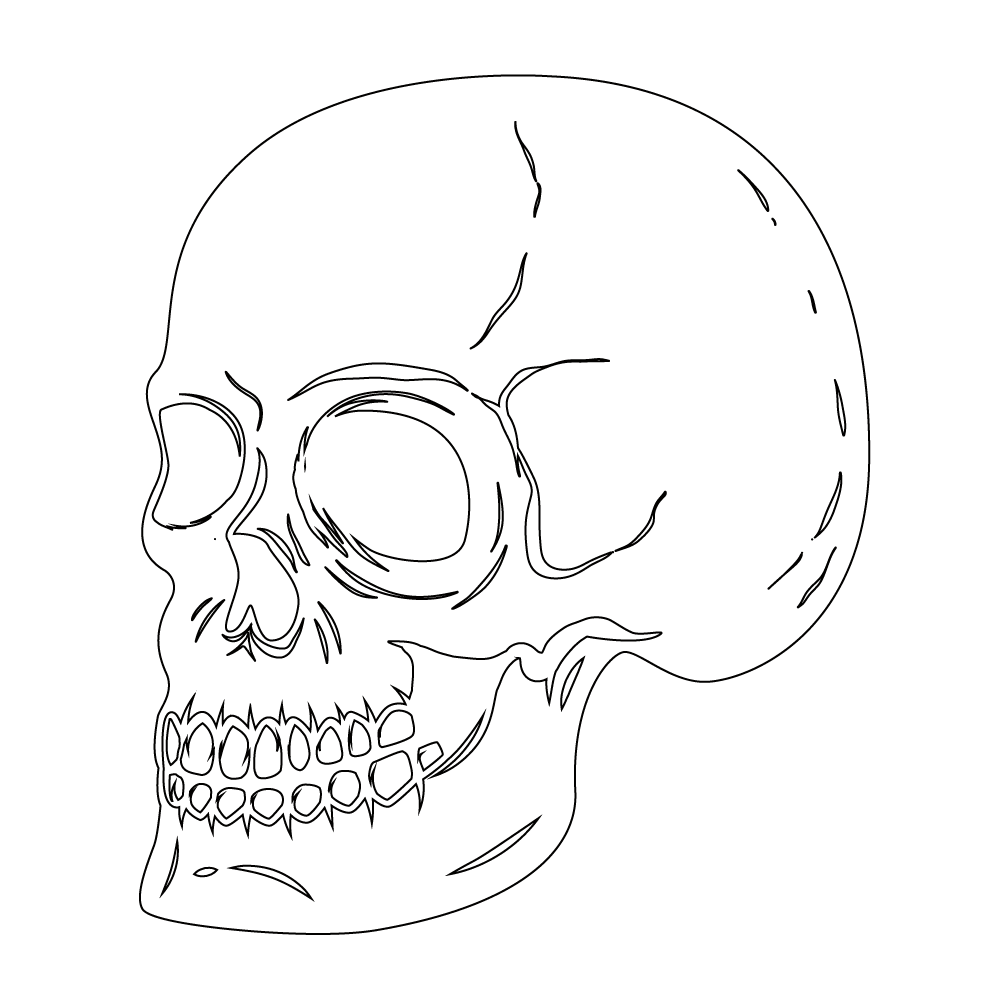 How to Draw A Skeleton Head Step by Step Step  11