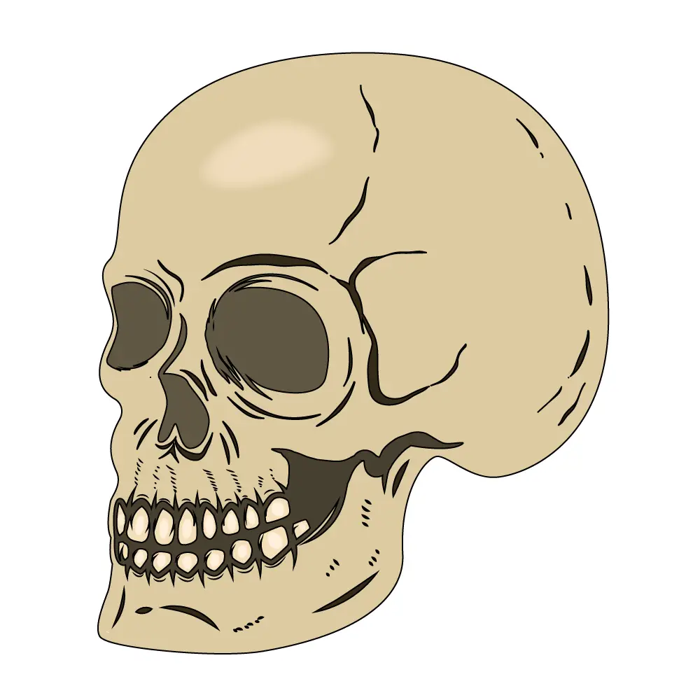 How to Draw A Skeleton Head Step by Step Step  12