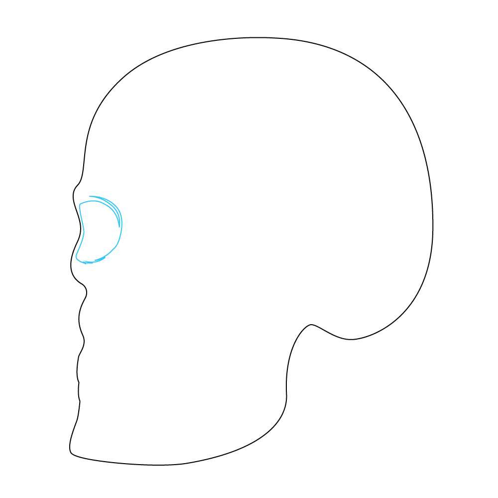 How to Draw A Skeleton Head Step by Step Step  3