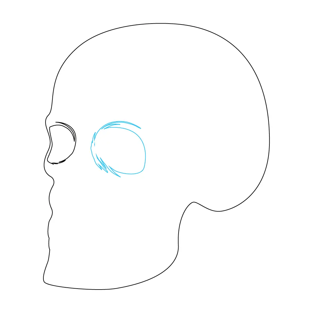 How to Draw A Skeleton Head Step by Step Step  4