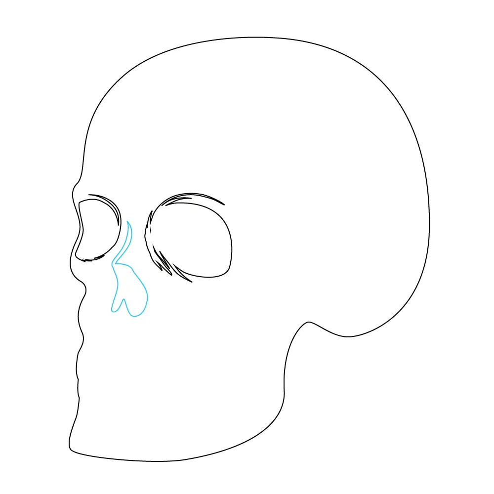 How to Draw A Skeleton Head Step by Step Step  5