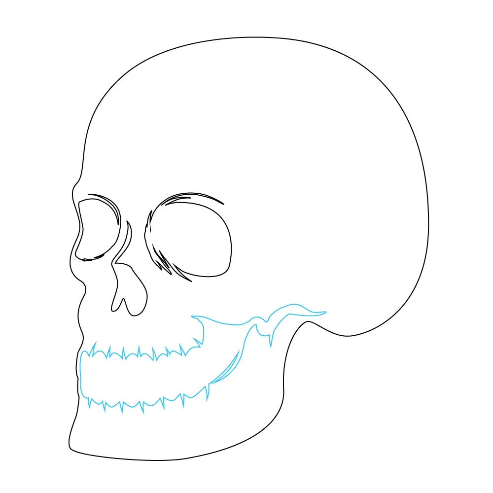 How to Draw A Skeleton Head Step by Step Step  6