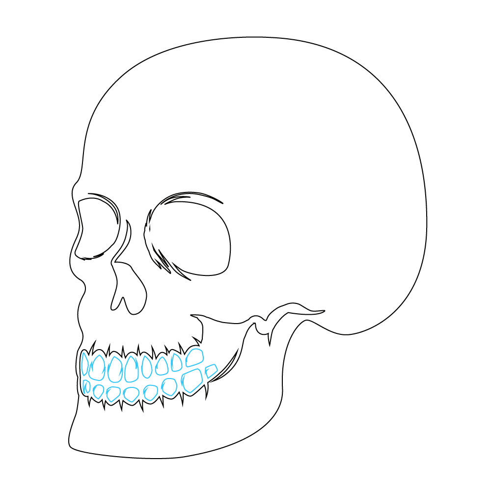 How to Draw A Skeleton Head Step by Step Step  7