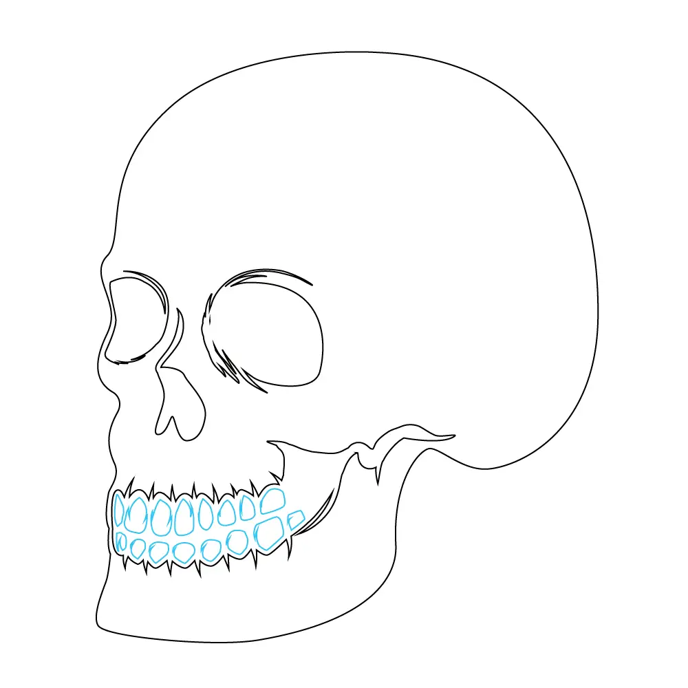 How to Draw A Skeleton Head Step by Step Step  7